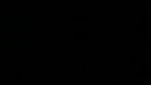 Master Joker online show from December 2024 11:56:02 PM