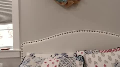 Lacey online show from December 2024 06:19:01 PM