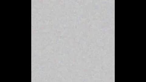 thenonbinarykat online show from January 2026 04:48:02 AM