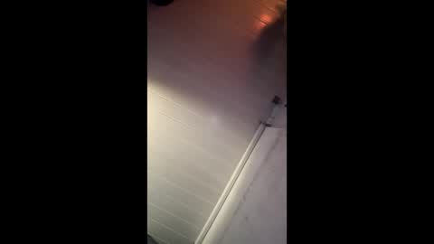 theonlyboi43ver online show from December 2024 08:35:01 AM