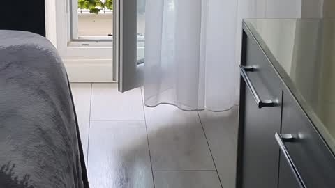 Theowonder online show from February 2025 09:22:01 AM