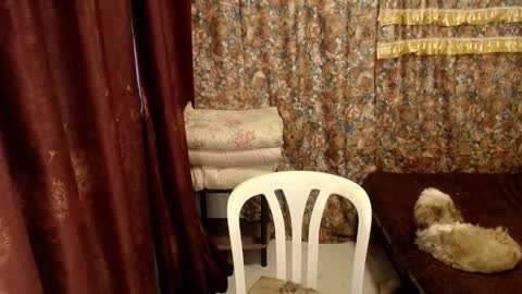 MIMI online show from March 2025 07:30:01 AM
