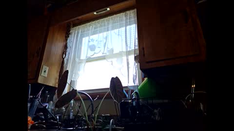 therizzler_1_of_1 online show from September 2025 06:30:01 PM