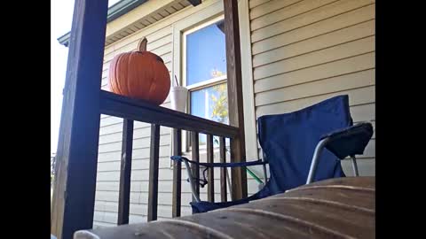 therizzler_1_of_1 online show from October 2025 07:57:02 PM