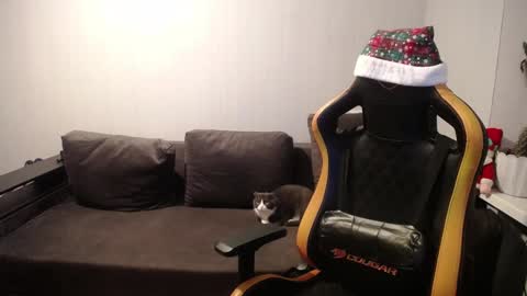 Nick   online show from December 2024 03:59:01 PM