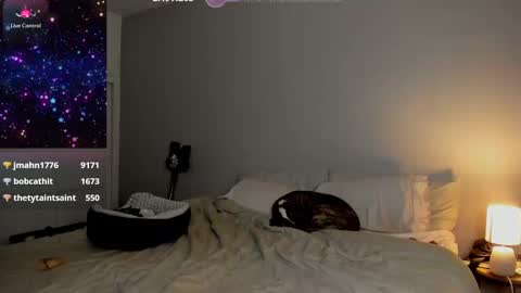 Selina Kyle online show from January 2025 08:13:01 AM