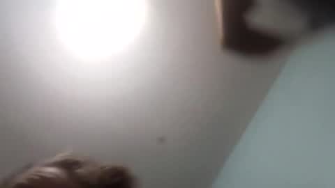 thetinyturtle online show from January 2026 12:04:02 AM