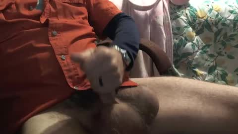 thetnguy online show from December 2024 06:27:01 PM