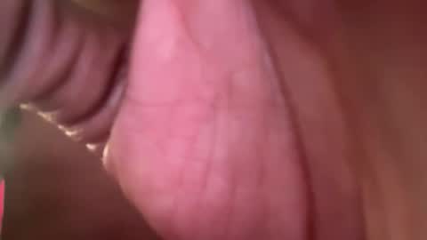 Snapshot of thetwomaskedbandits chatting on April 2026 10:42:02 PM thetwomaskedbandits online show from April 2026 10:42:02 PM