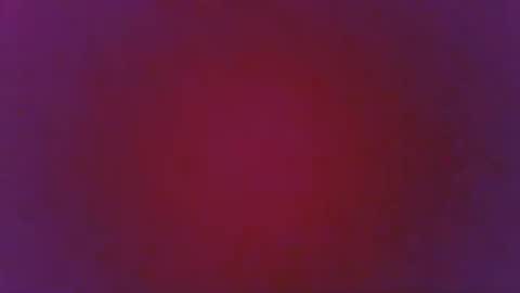 thewhitenight online show from December 2025 12:17:02 AM