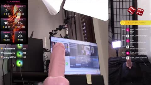 The Willow Fox online show from January 2025 09:08:02 PM