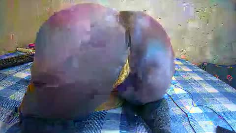 thick_sweet_ass online show from January 2026 06:08:01 AM