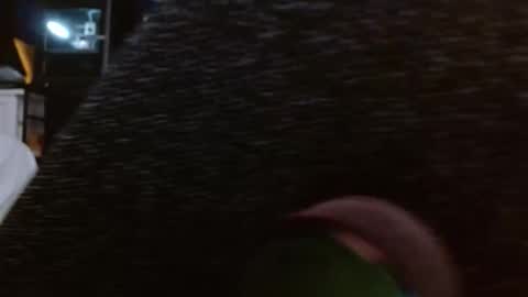 Snapshot of thickcock369 chatting on June 2026 07:08:02 PM JerkWhileIWork online show from June 2026 07:08:02 PM