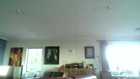 Thickcockat71 online show from February 2026 06:14:01 PM