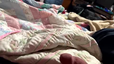 Snapshot of thickdic44 chatting on February 2025 06:40:02 PM thickdic44 online show from February 2025 06:40:02 PM