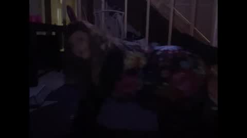 Ariel online show from February 2025 05:19:02 PM