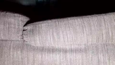 Thirsty4itall online show from January 2025 12:37:01 PM