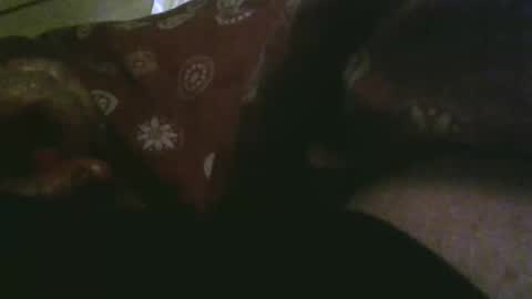 thisbloke96 online show from December 2025 10:27:02 PM