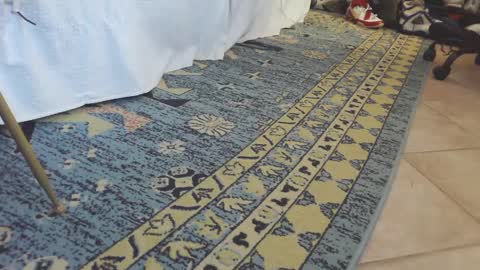 ThongMuscle online show from February 2025 01:49:02 PM