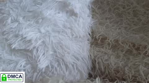 tia_j online show from January 2025 11:58:02 AM