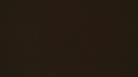 LIA online show from April 2026 02:15:02 PM