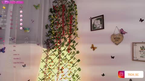 Snapshot of tich__ chatting on December 2024 06:42:02 AM TICH online show from December 2024 06:42:02 AM