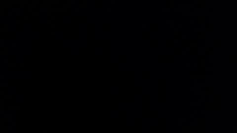 Tiffany Brewer online show from March 2026 11:43:01 PM