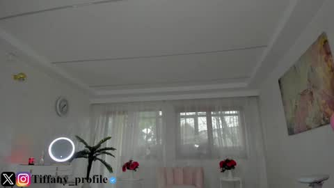 Snapshot of tiffanyhouston_ chatting on November 2025 07:08:01 AM Tiffany Houston online show from November 2025 07:08:01 AM