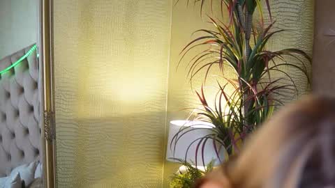 Snapshot of tiffanytrinity chatting on November 2025 09:26:02 PM Tiffany online show from November 2025 09:26:02 PM