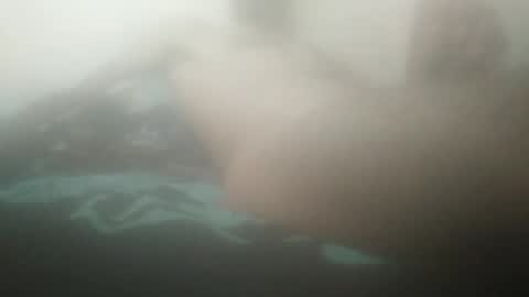 tiger005588 online show from September 2025 11:11:01 AM