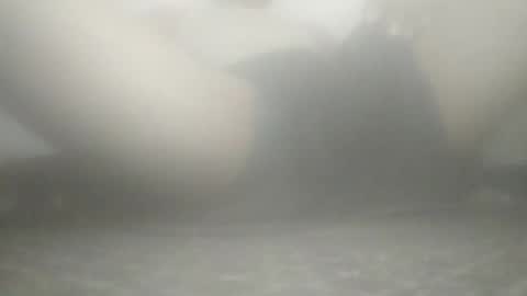 tiger005588 online show from November 2025 09:08:02 AM