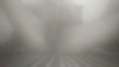 tiger005588 online show from December 2025 07:53:02 PM