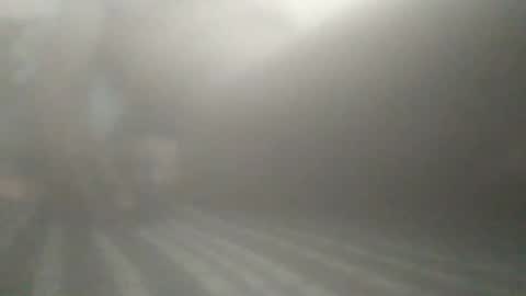 tiger005588 online show from December 2025 04:01:02 PM