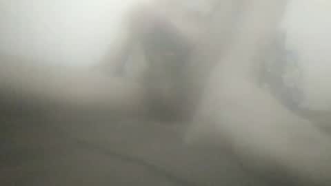 tiger005588 online show from February 2026 04:03:02 PM