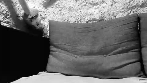 tigerbigcockkk online show from October 2025 08:17:02 PM