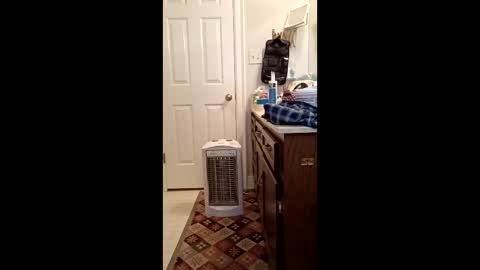 timb800000 online show from January 2026 03:28:01 PM