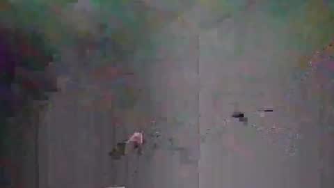 timbowwow online show from October 2025 03:48:02 AM