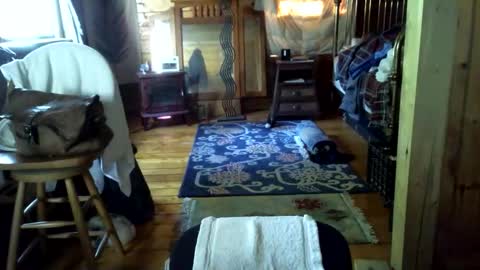 Snapshot of timcassforyou chatting on June 2026 10:55:02 PM timcassforyou online show from June 2026 10:55:02 PM