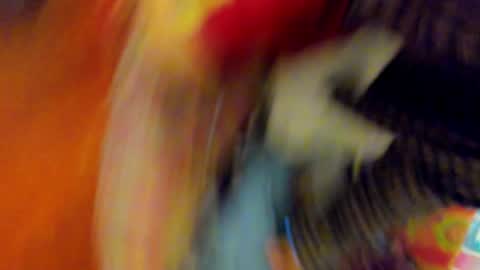 Snapshot of timewith_sebas chatting on May 2026 01:23:02 AM salem online show from May 2026 01:23:02 AM