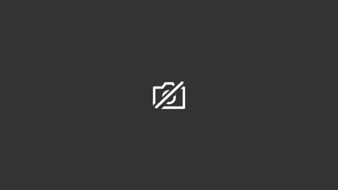 timmothy2233 online show from March 2026 08:41:02 AM