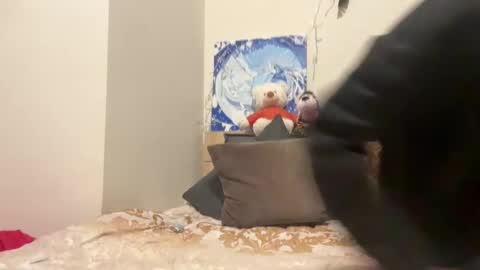 Wizard online show from December 2024 07:00:02 PM