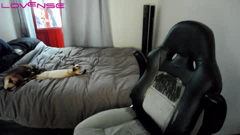 Tina online show from January 2025 07:45:01 PM