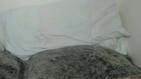 Tina online show from February 2025 09:49:02 PM