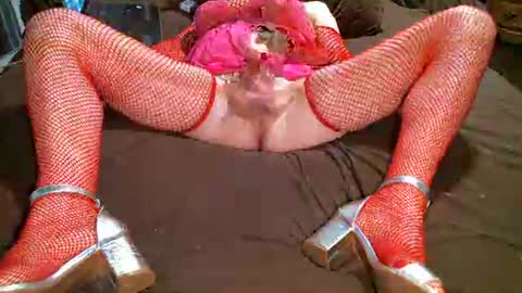 tinnavogler online show from January 2025 10:32:02 PM