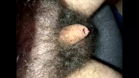 tinycocker online show from September 2025 10:22:01 PM