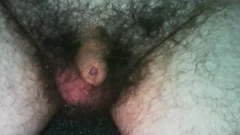 tinycocker online show from October 2025 09:59:02 PM