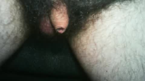 tinycocker online show from October 2025 11:54:02 PM