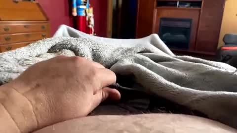 tittiemilk online show from February 2025 09:37:01 PM