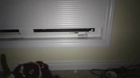 Snapshot of tj526316275 chatting on April 2026 06:47:02 AM tj526316275 online show from April 2026 06:47:02 AM