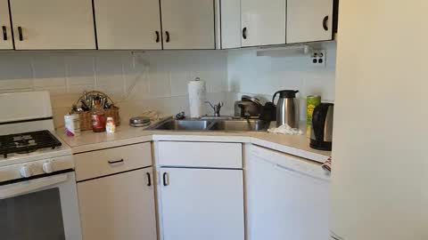 Snapshot of tjstanley1 chatting on December 2024 04:03:02 PM Joe online show from December 2024 04:03:02 PM